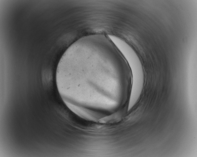 X0000088440260200706121514