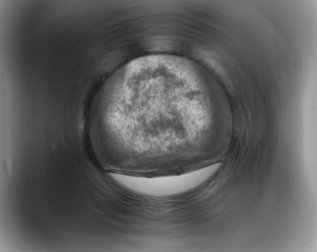 X0000088440261200706121514