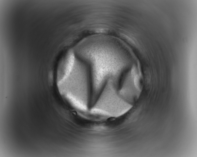 X0000088440262200706121514