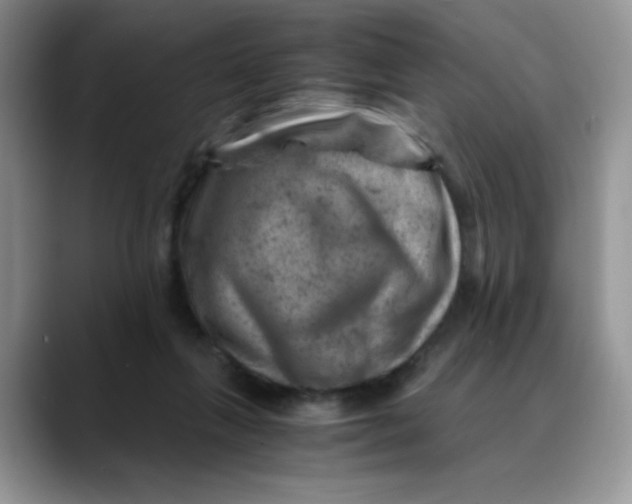 X0000088440263200706121514