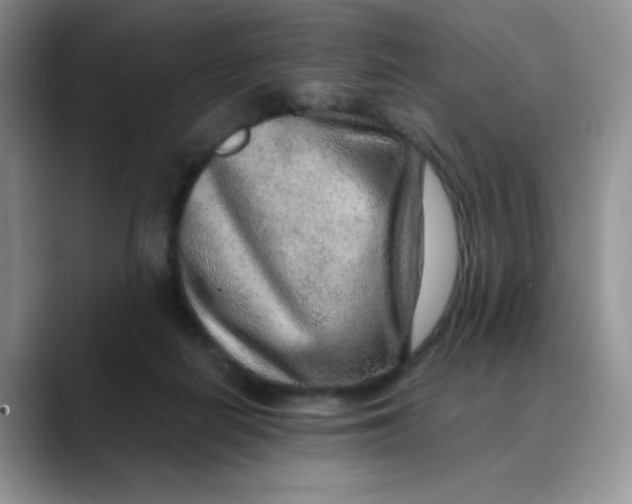 X0000088440266200706121514