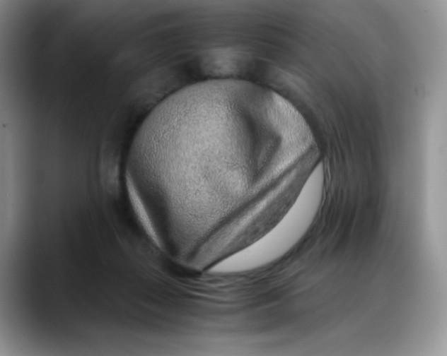 X0000088440267200706121514