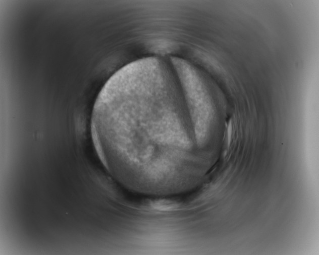 X0000088440268200706121514
