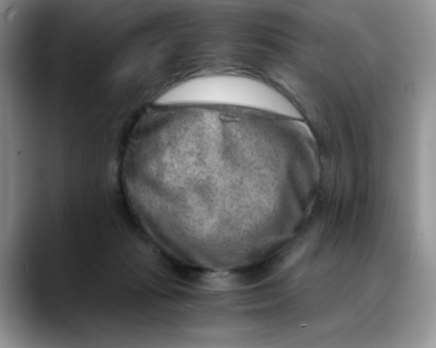 X0000088440269200706121514