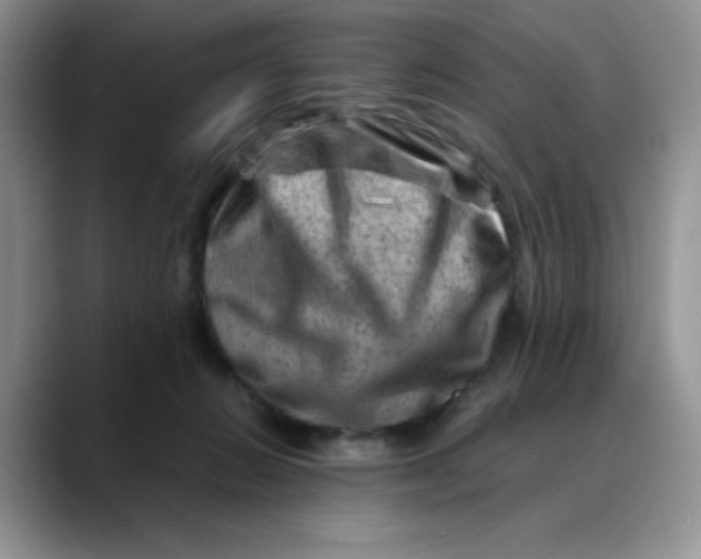 X0000088440270200706121514