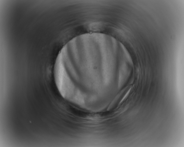 X0000088440271200706121514