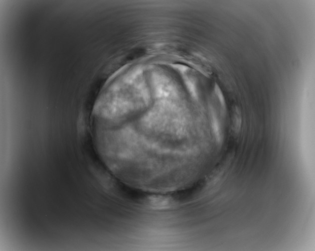 X0000088440272200706121514
