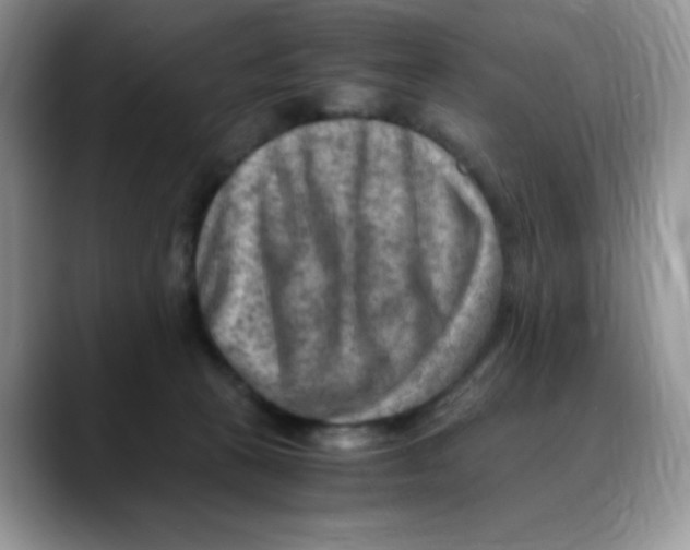 X0000088440273200706121514