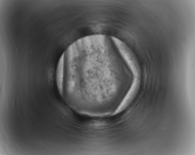 X0000088440275200706121514