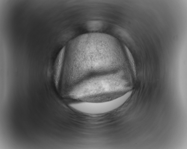 X0000088440277200706121514