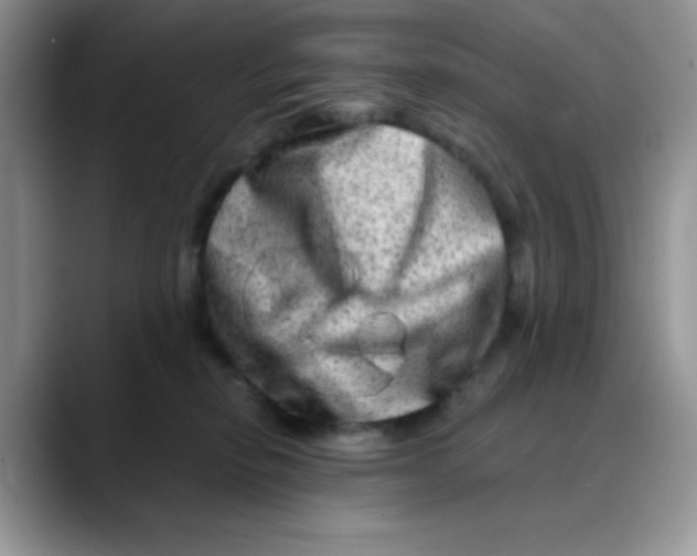 X0000088440278200706121514