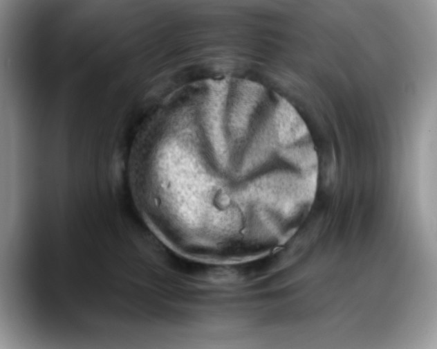 X0000088440279200706121514