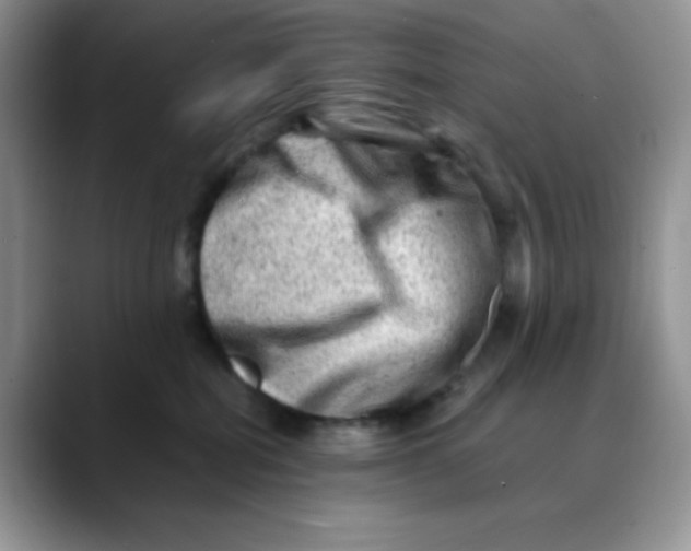 X0000088440282200706121514