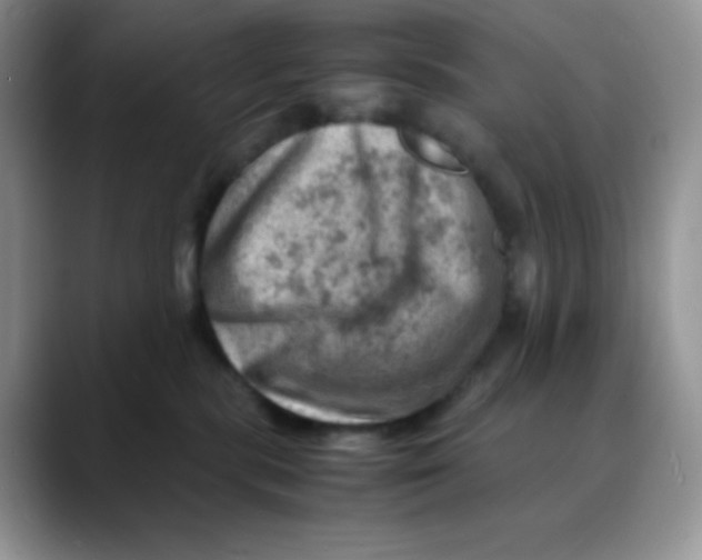 X0000088440283200706121514