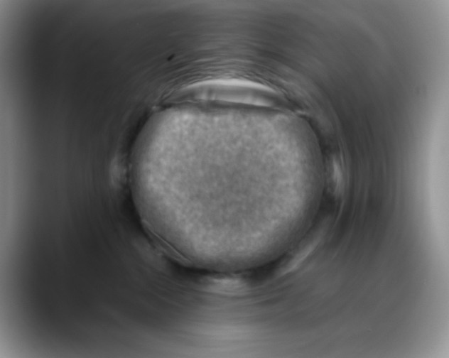X0000088440284200706121514