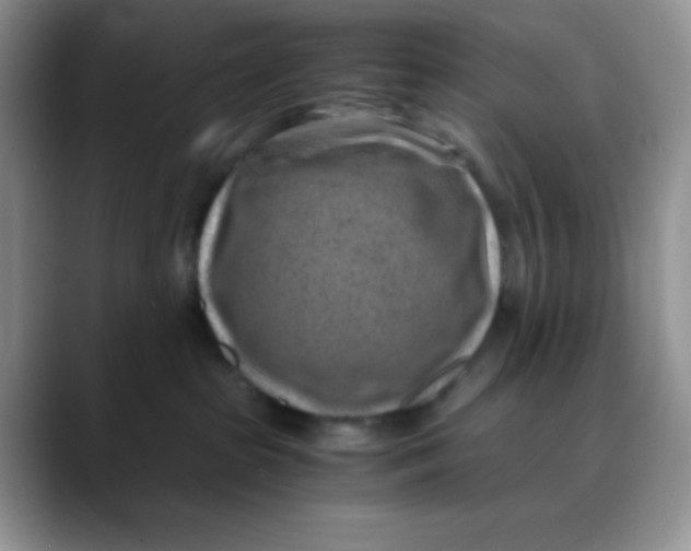 X0000088440285200706121514