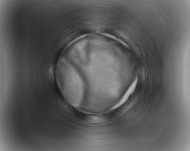 X0000088440286200706121514