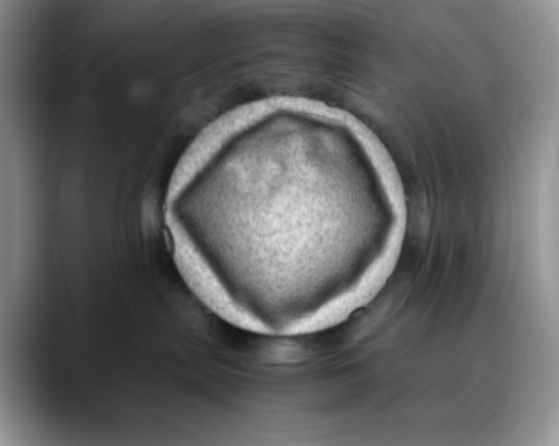 X0000088440287200706121514