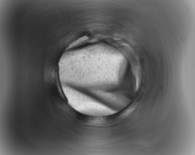 X0000088440288200706121514