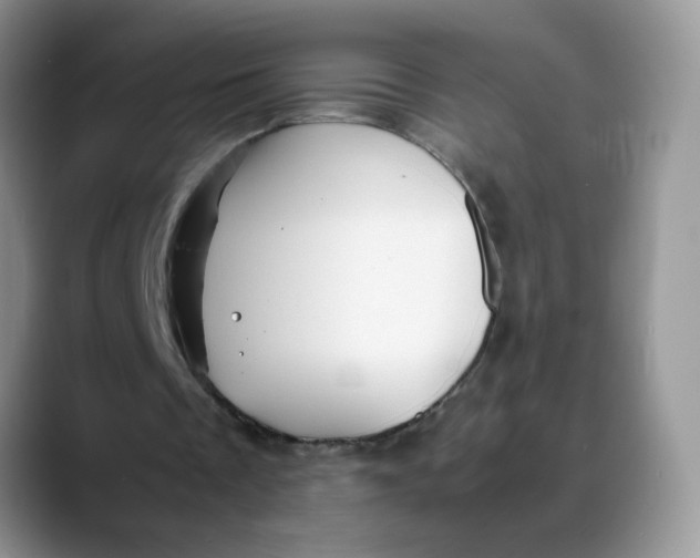 X0000088440289200706121514