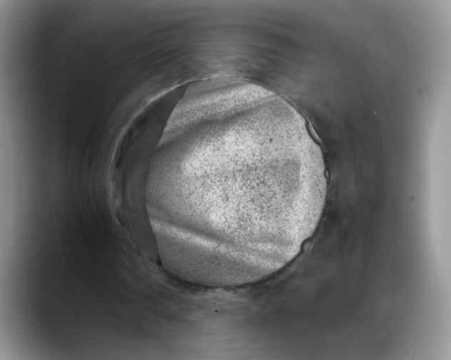 X0000088440290200706121514