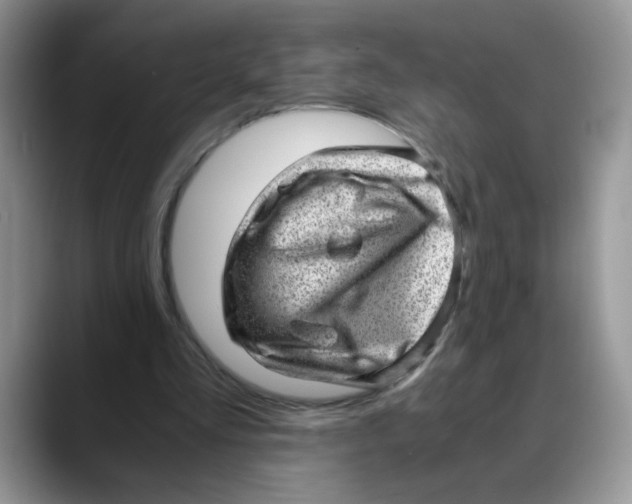 X0000088440293200706121514
