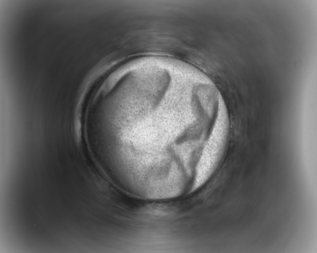 X0000088440294200706121514
