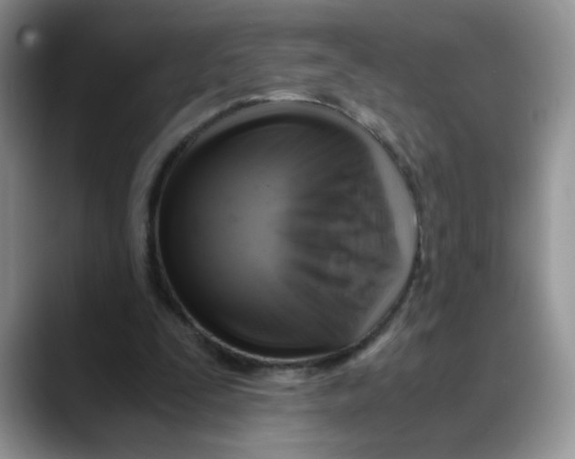 X0000088440295200706121514