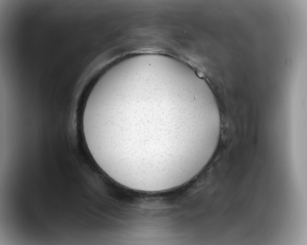 X0000088440296200706121514