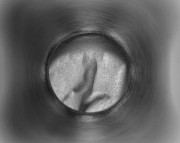 X0000088440298200706121514