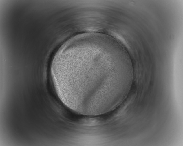 X0000088440299200706121514