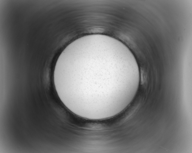 X0000088440300200706121513