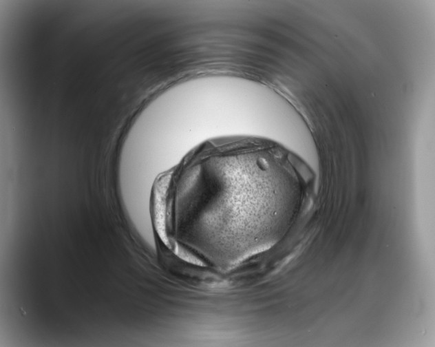 X0000088440301200706121513
