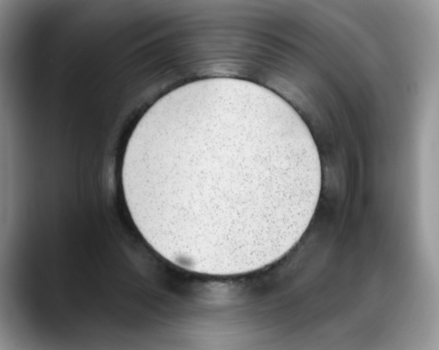 X0000088440302200706121513
