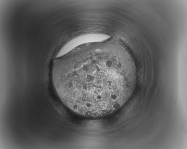 X0000088440303200706121513