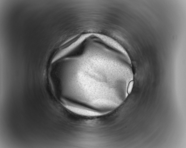 X0000088440306200706121513