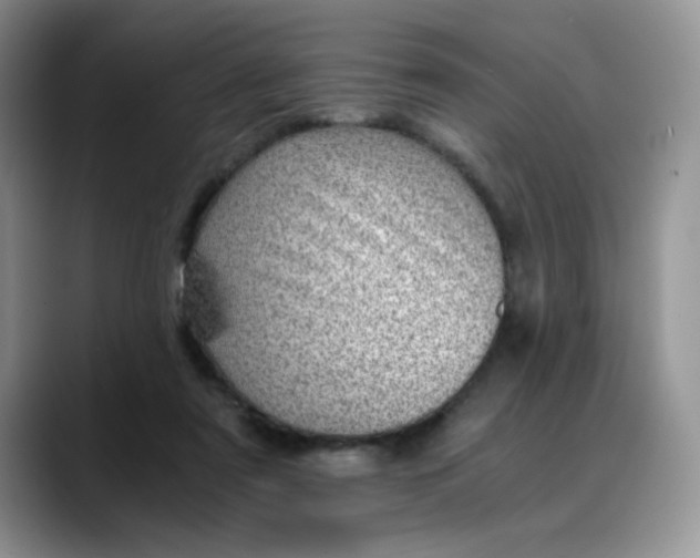 X0000088440307200706121513