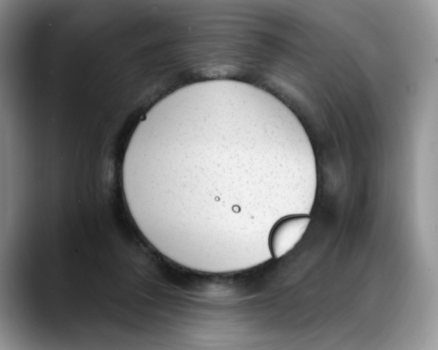 X0000088440308200706121513
