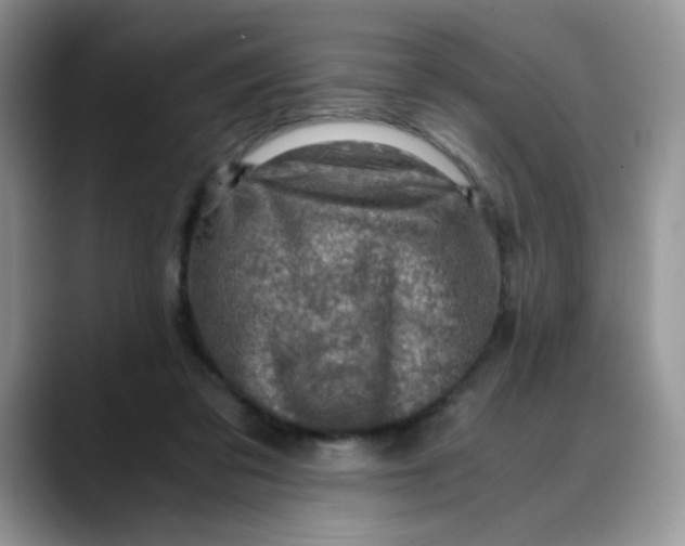 X0000088440309200706121513