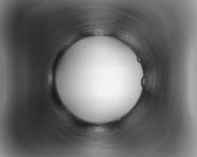 X0000088440310200706121513