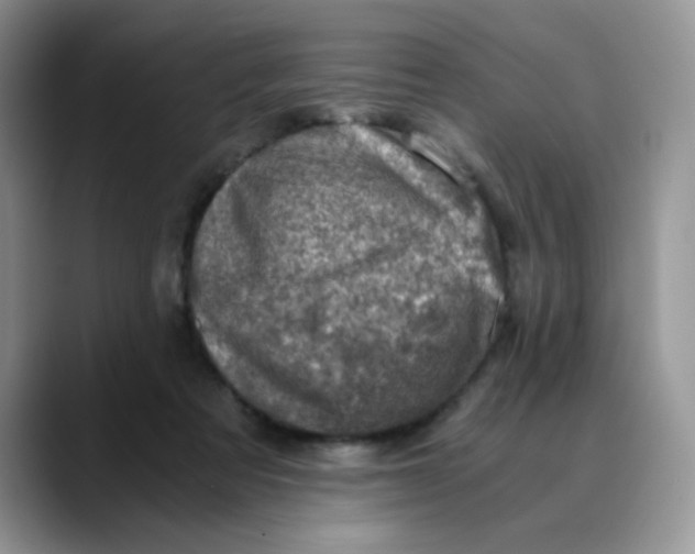 X0000088440313200706121513