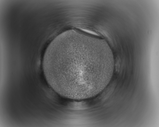 X0000088440314200706121513
