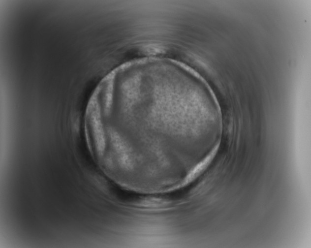 X0000088440315200706121513