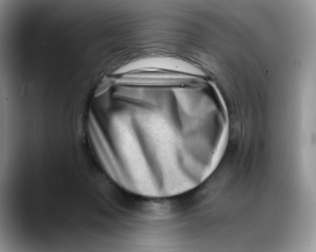 X0000088440317200706121513