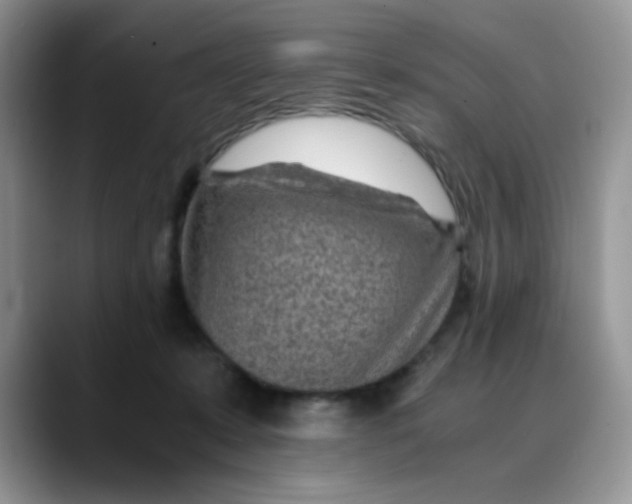 X0000088440319200706121513