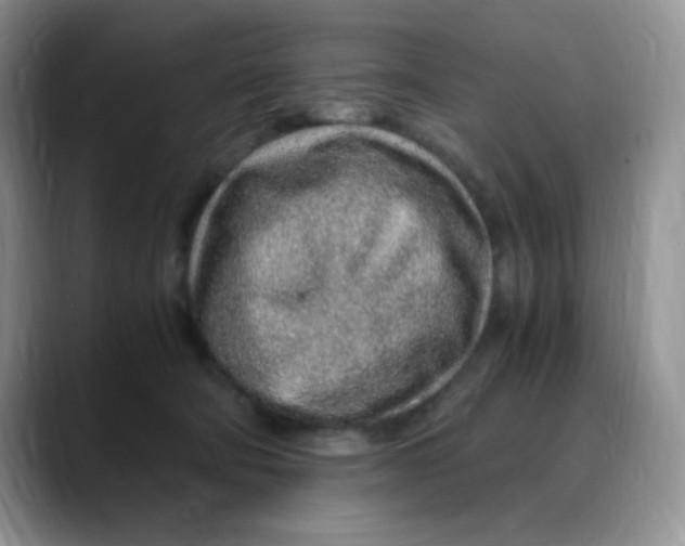 X0000088440322200706121513