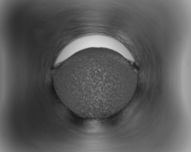 X0000088440325200706121513