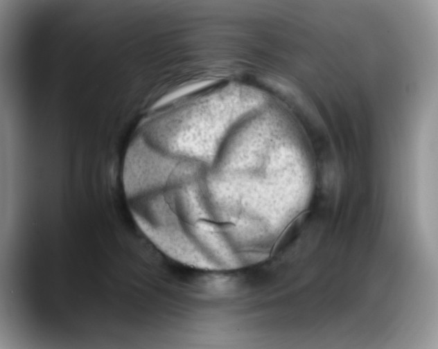 X0000088440326200706121513