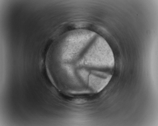 X0000088440327200706121513