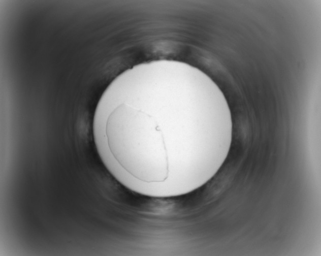 X0000088440328200706121513